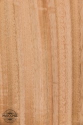 Шпон Эвкалипт 0,6 А