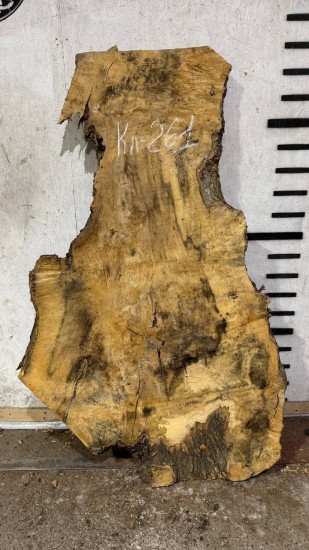 Слэб Кл261 Клен 1790*610-1080*70